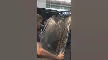 Полное видео оклейки BMW X7 можно посмотреть на канале💪🏻 #bmwx7 #автомастерская